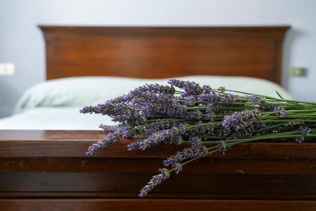 Lago Maggiore A 10 Minuti "Cascina Lavanda" Casalzuigno Exterior foto